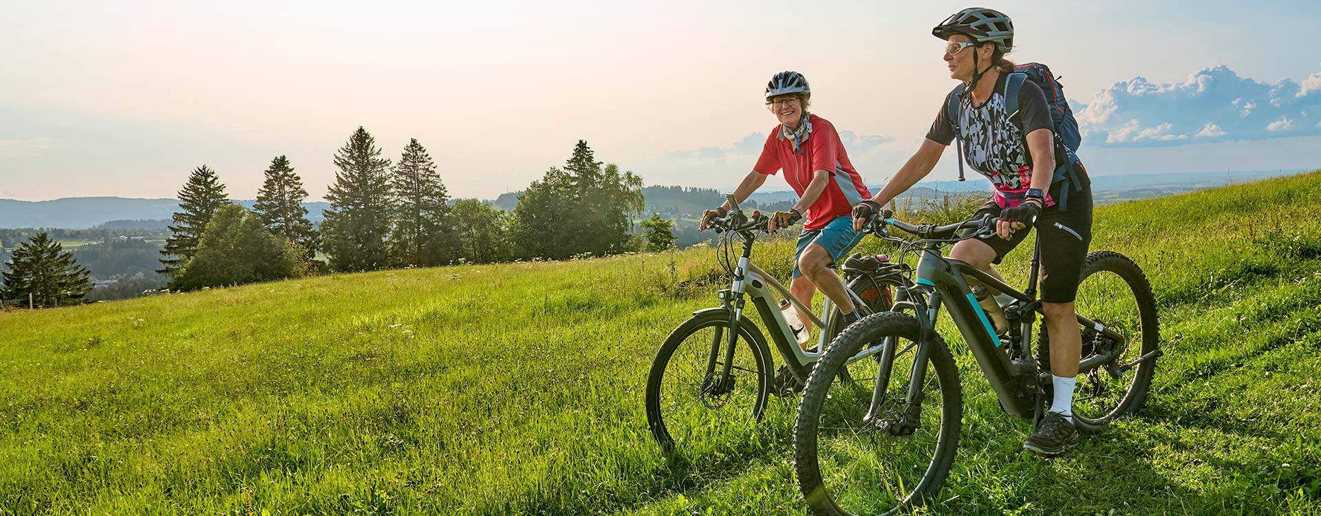 Bike Rentals